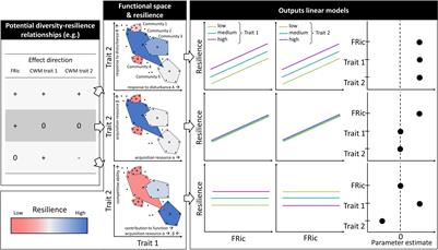 Functional Richness and Resilience in Coral Reef Communities